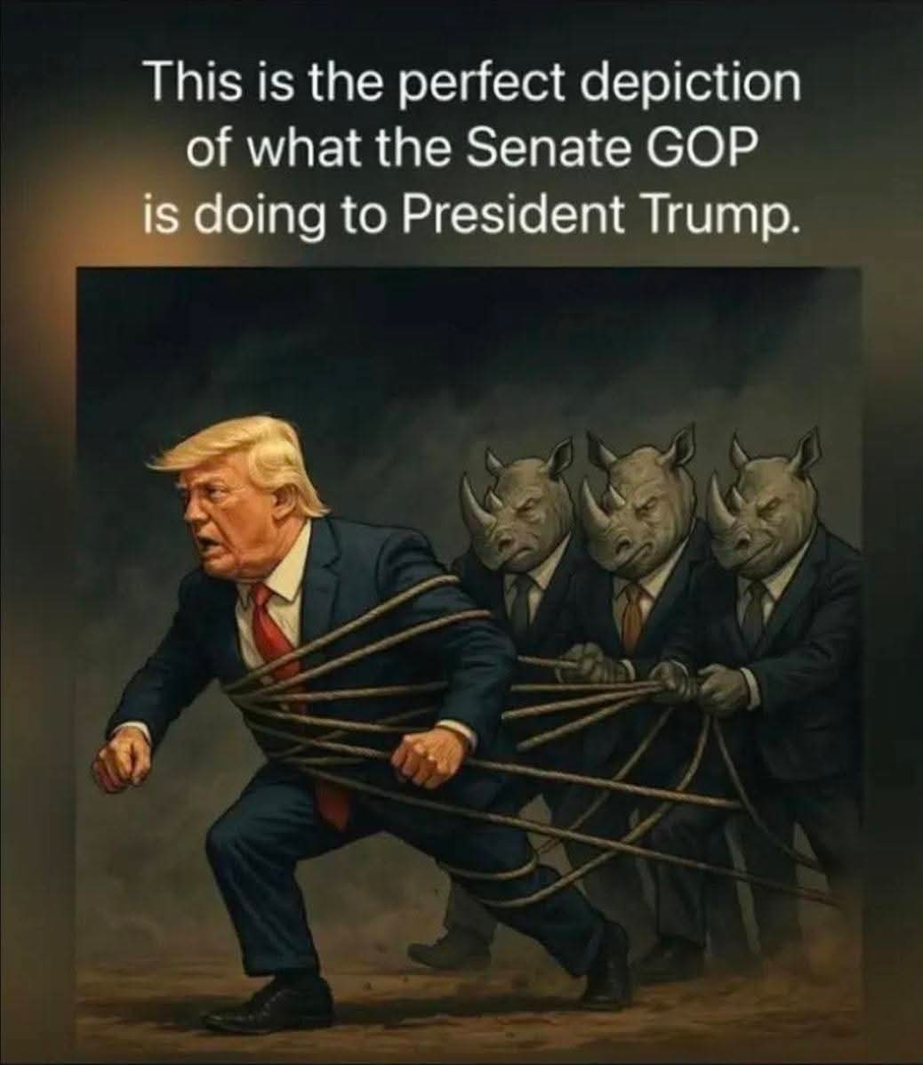 themetzman2000's tweet photo. @catturd2 https://t.co/JFCPXSHZeh
