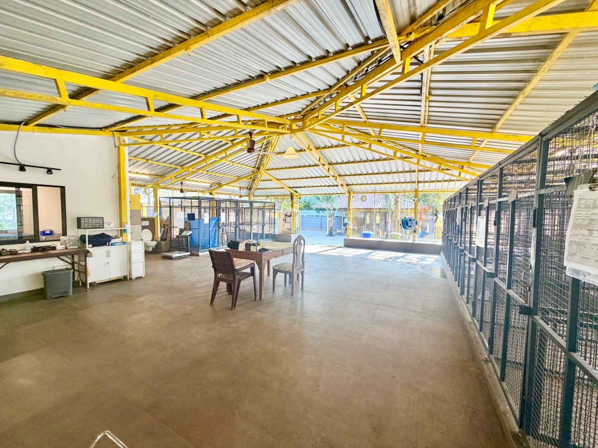 Amitabh Bachchan tweet media