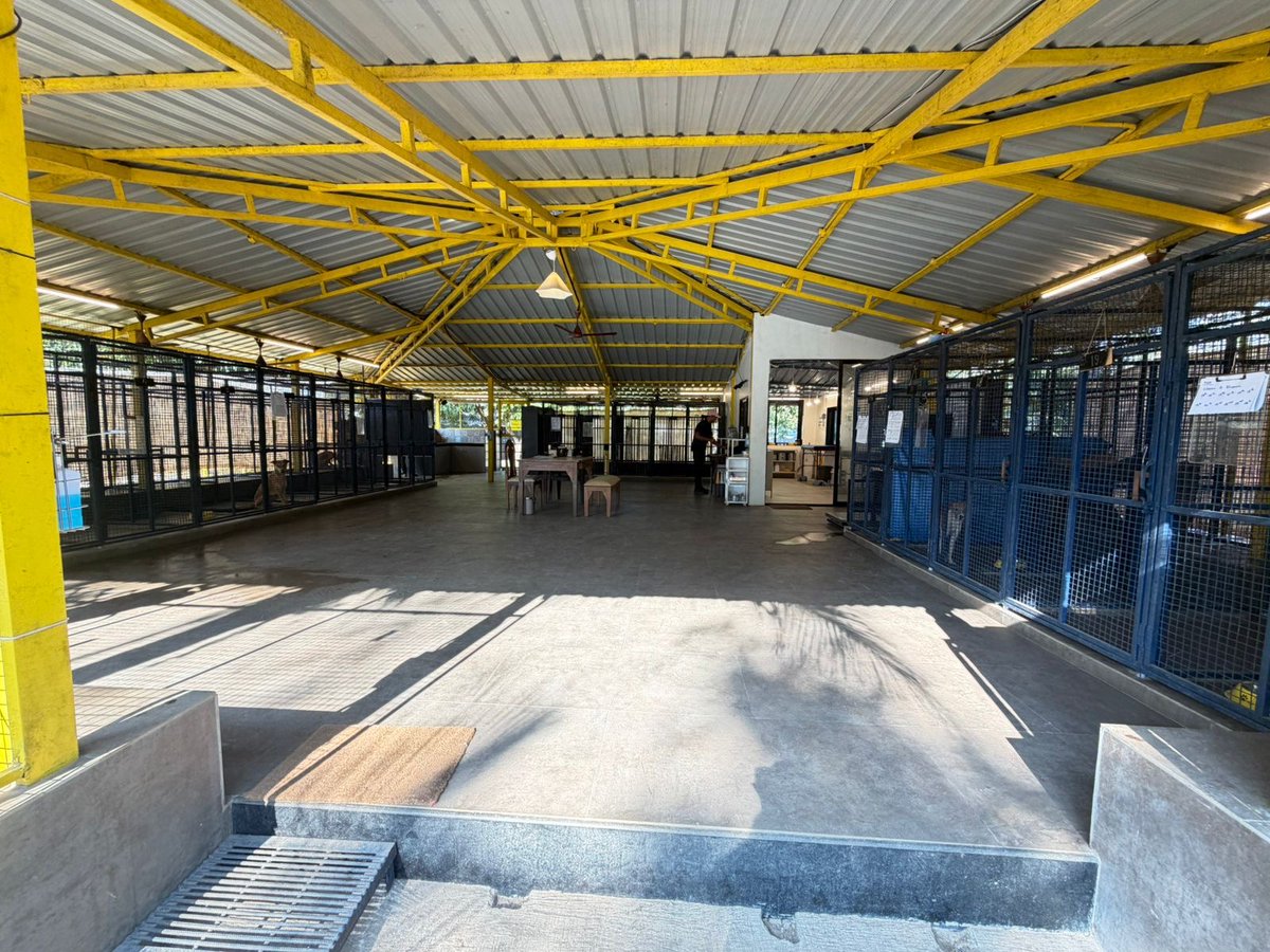 Amitabh Bachchan tweet media