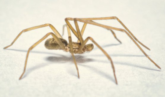 MIZA-UCV tweet media