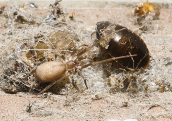 MIZA-UCV tweet media