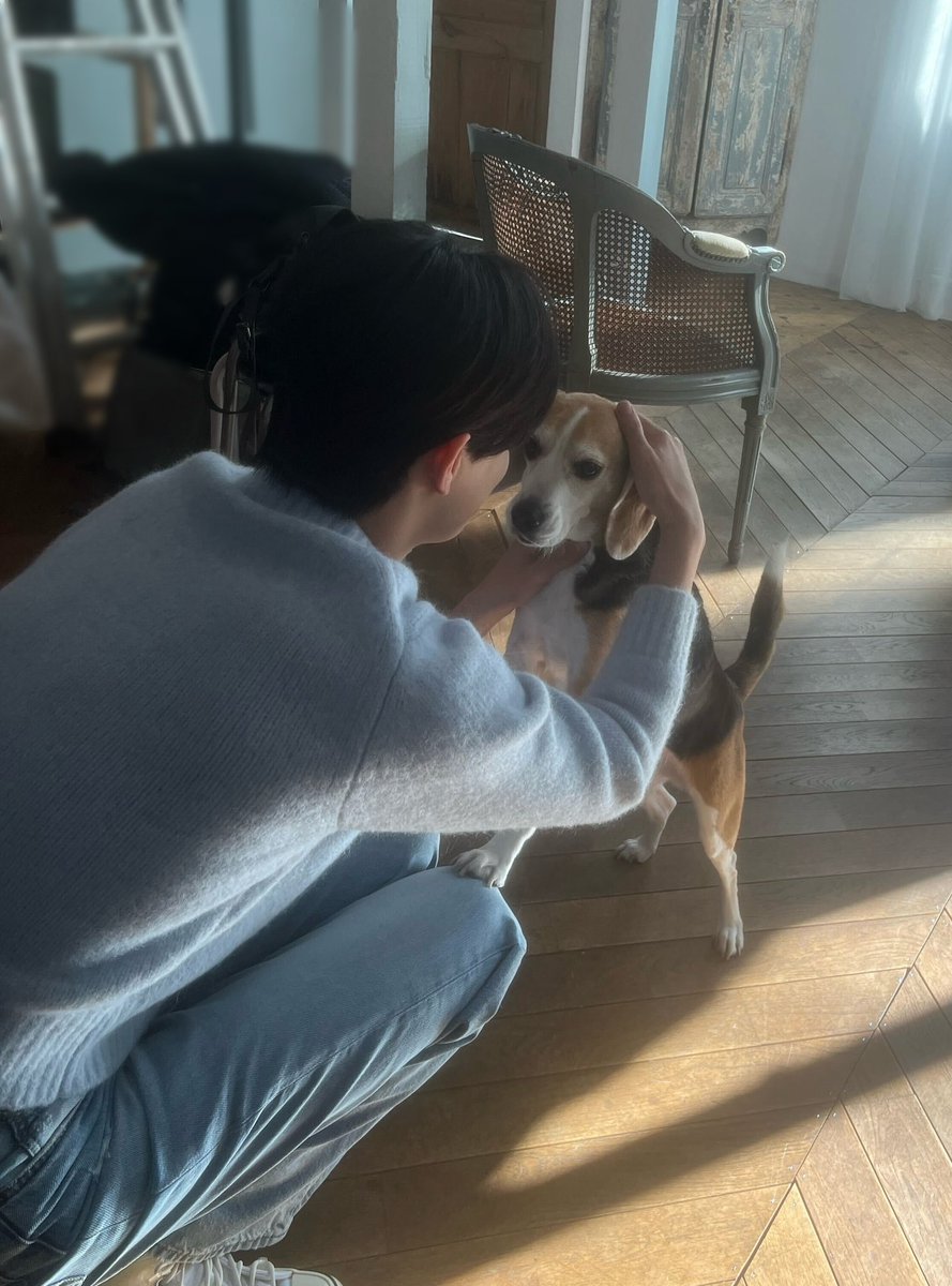 aoen_members's tweet photo. 優樹(YUJU)です🐶🩵　

【月刊わんこ vol.28】
表紙を愛犬の蘭ちゃんと一緒に飾らせていただいております🐶

めっっっちゃ可愛いよ！！！🫶

#月刊わんこ
#aoen #アオエン #優樹 #YUJU https://t.co/EbVfxsRYmX