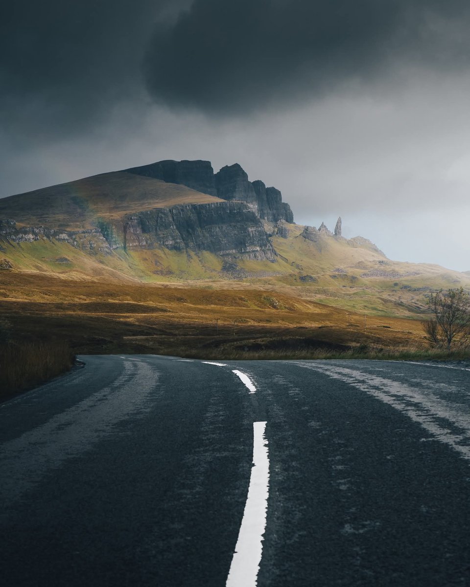 N A T U R E tweet media