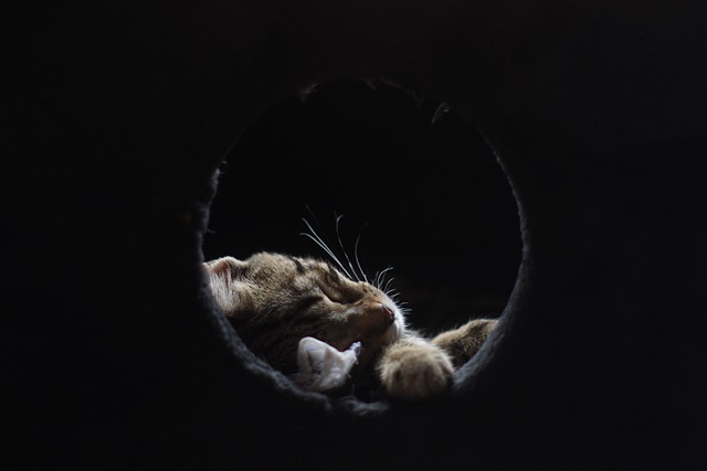 Jon Verse tweet media