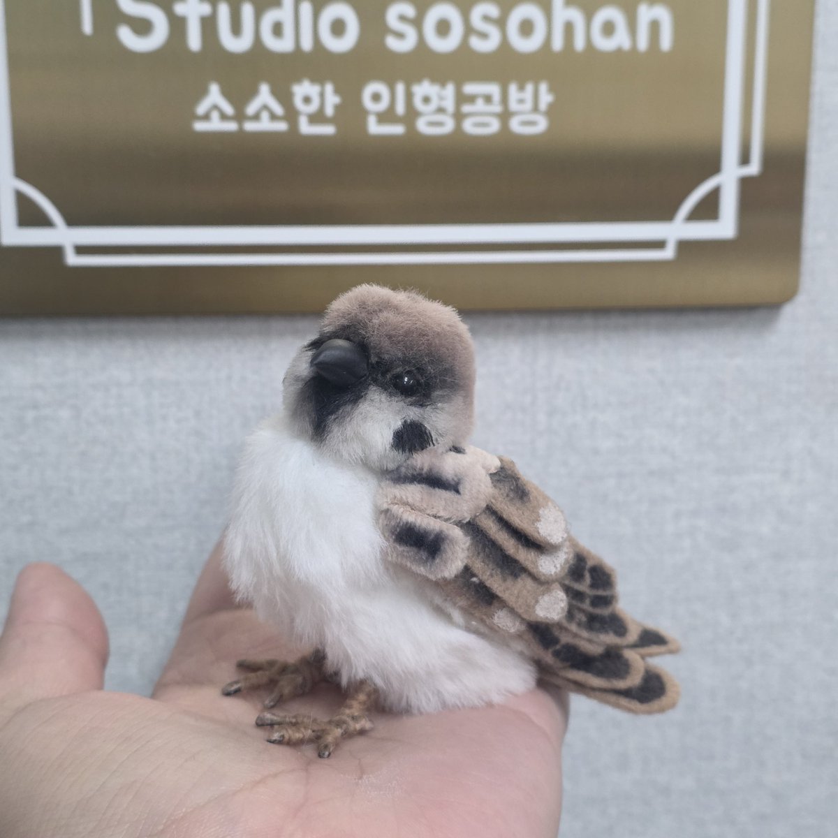 소소한 인형공방💕 tweet media