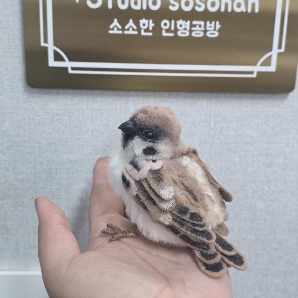 소소한 인형공방💕 tweet media