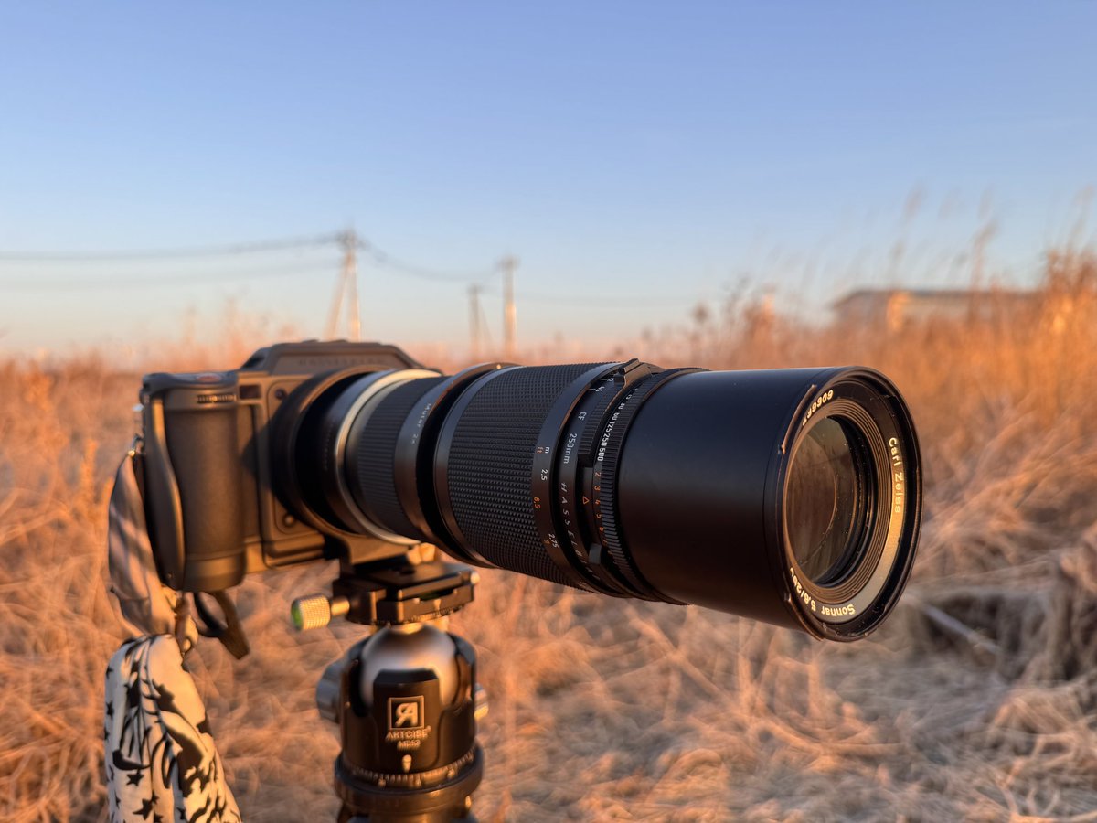 a_konchan's tweet photo. Vシステムのレンズを生かしたくてXVマウントアダプターを使ってVマウントの
Sonnar250mm+ Mutar T* ×2 Teleconverter
+ X2DⅡ
での作例です。
 #十人十色Hasselblad
#Hasselblad 
#ハッセルブラッド
#sonnar250mm
#mutar https://t.co/v9X7glaDHr