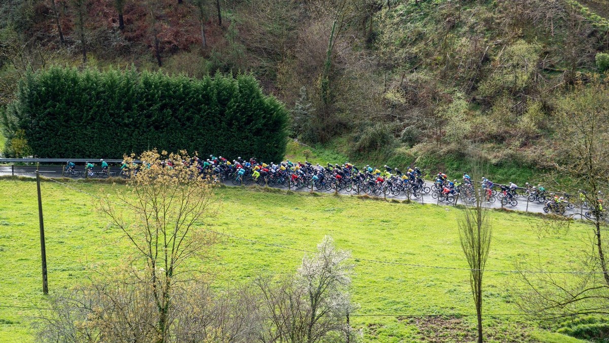 Smartlog Nest Cycling Team tweet media