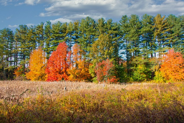 Jason Rat tweet media