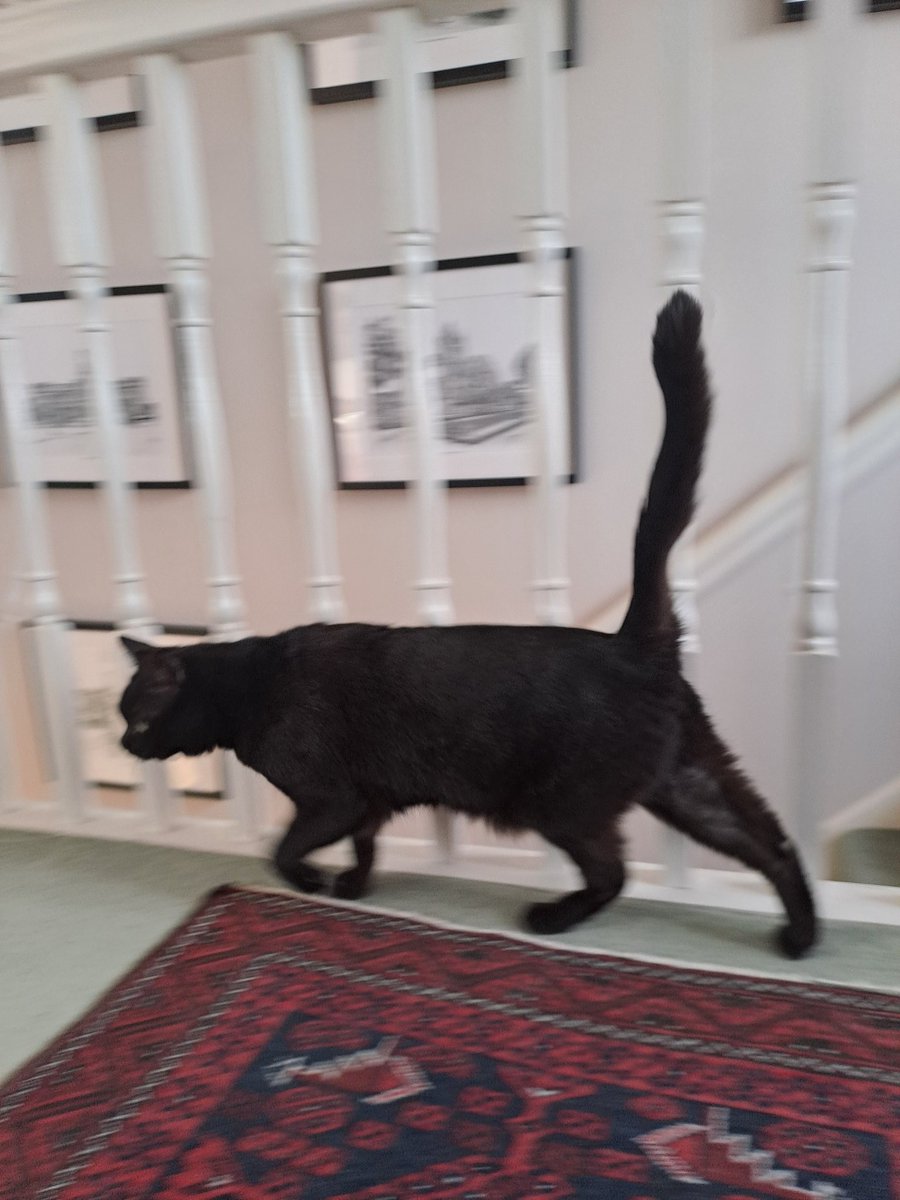 MRodwell tweet media