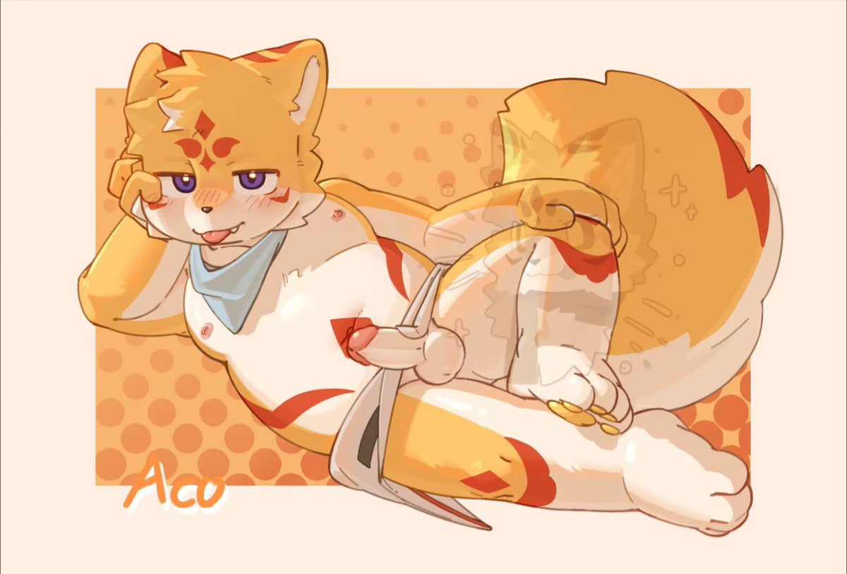 Acooooo阿可 tweet media