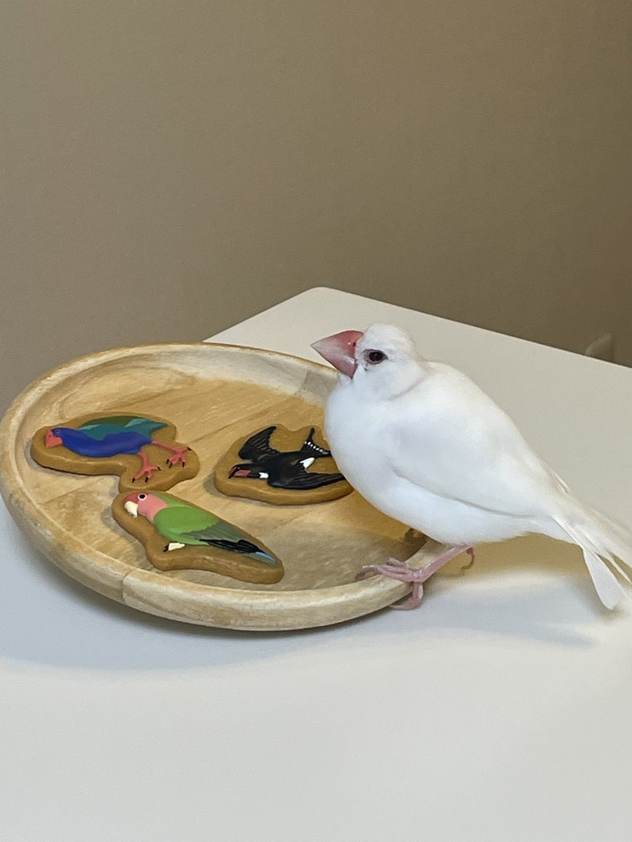 よんちゃ tweet media