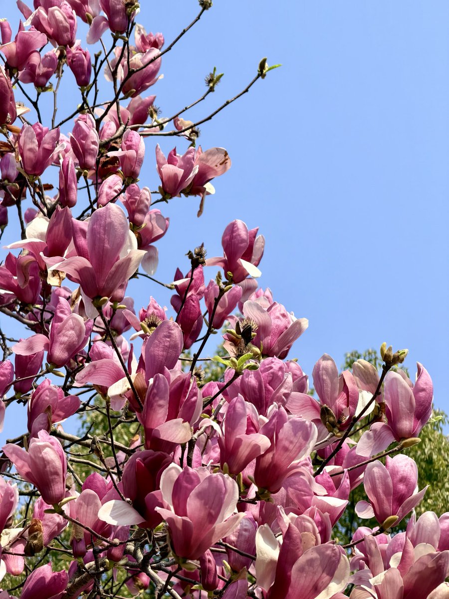 开心读研🤤 tweet media