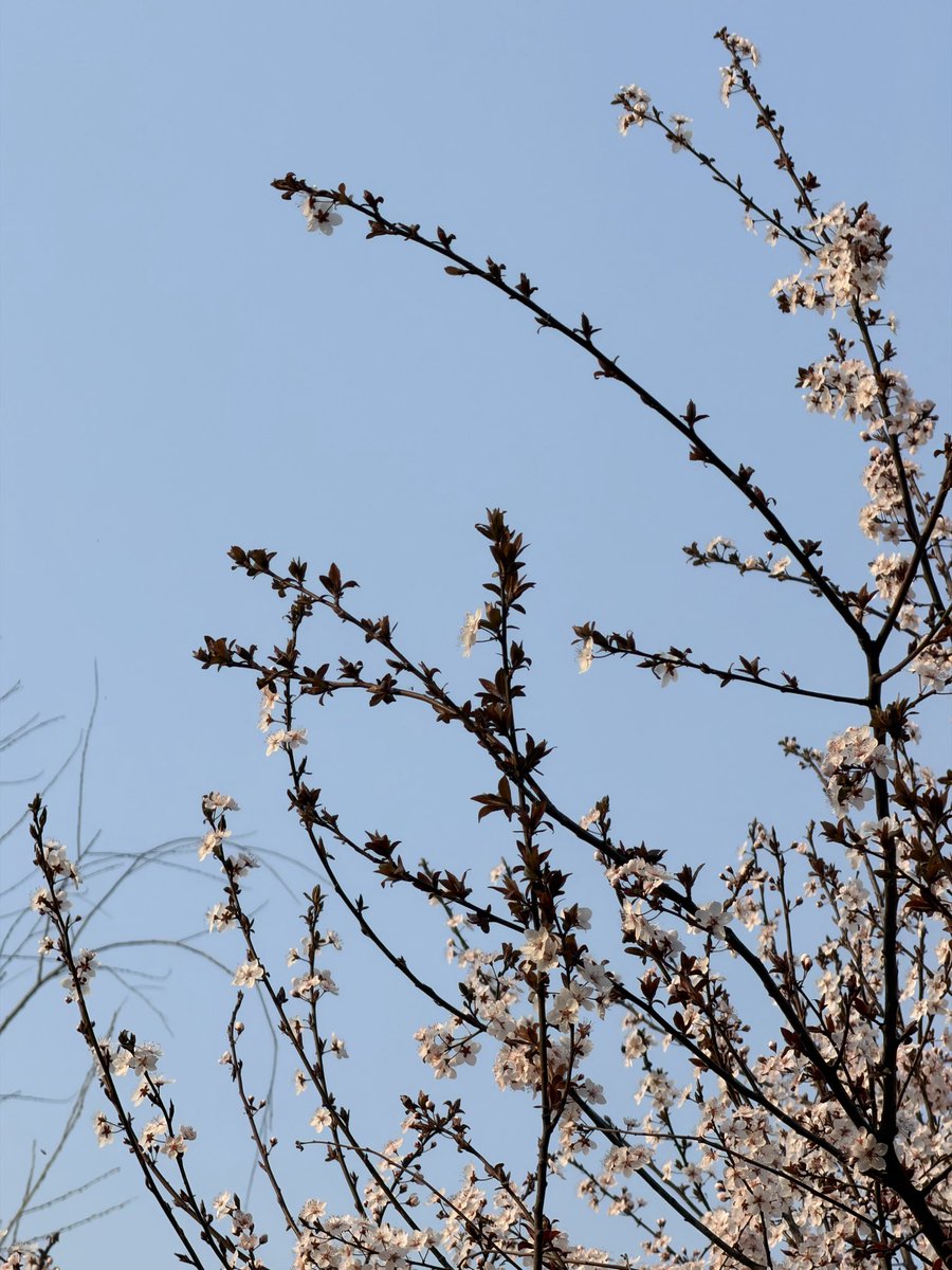 开心读研🤤 tweet media