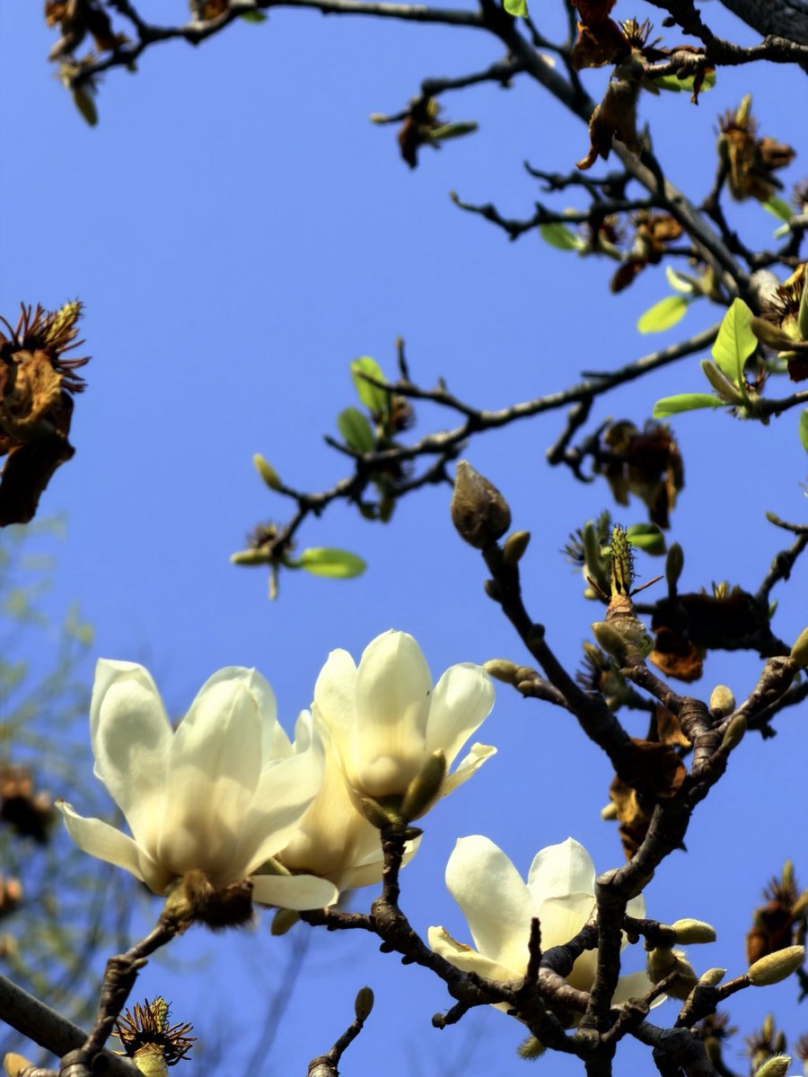 开心读研🤤 tweet media