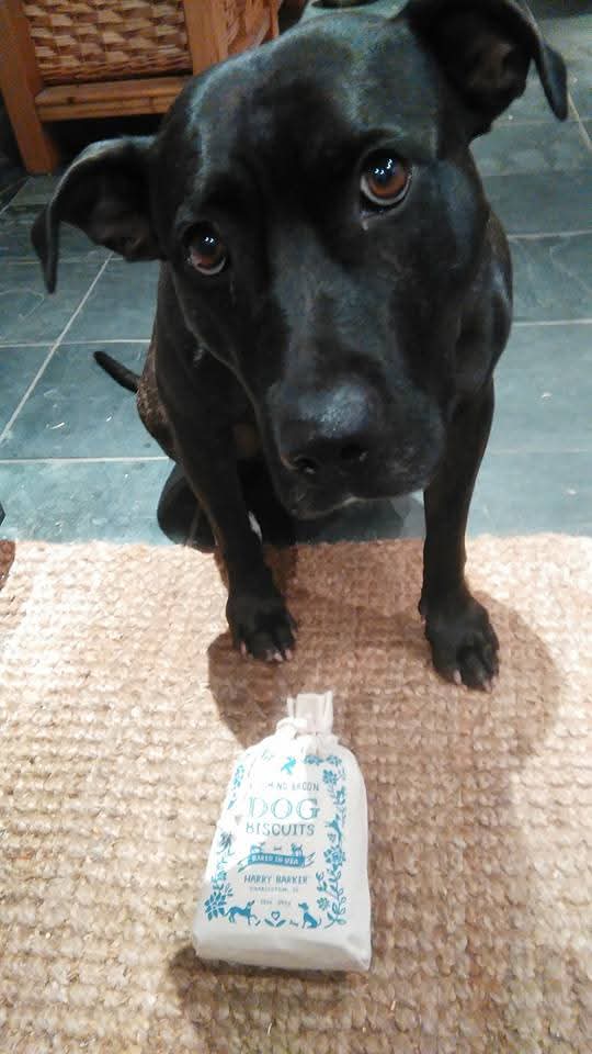 Alison Khan tweet media