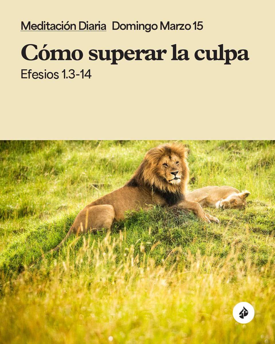 Encontacto's tweet image. Si está cansado de cargar con el peso de la culpa, acuda a Dios para encontrar libertad. #Devocional 
encontacto.org/lea/devocional…