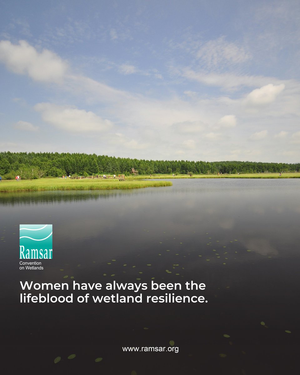 RamsarConv's tweet photo. This week we are celebrating Women GameChangers of 2026. We focused on those contributing to International Collaboration for Wetlands: United for Wetlands. Next week we look at those women engages in Wetland Protection: Caring For Our Precious Ecosystems. 

#WomenAndWetlands #WomenChangemakers #WetlandProtection #IWD2026 #GainToGive #ProtectOurPlanet