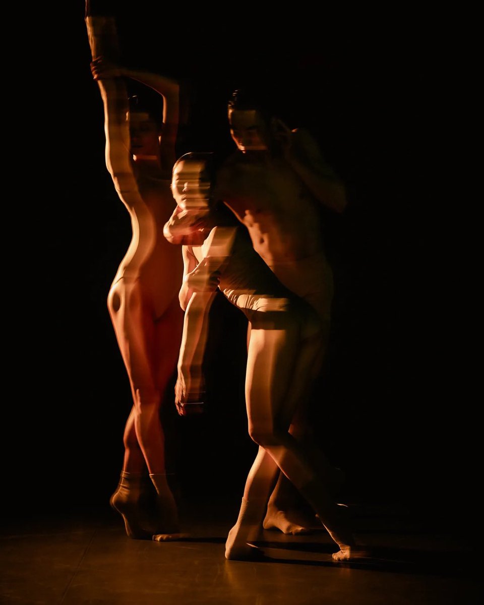 디지앤지 tweet media