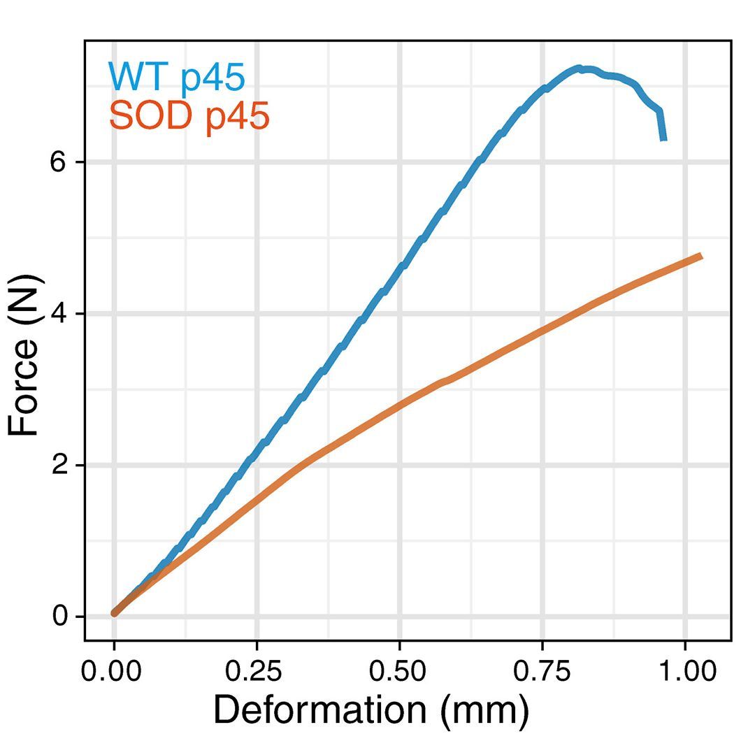 JCI insight tweet media