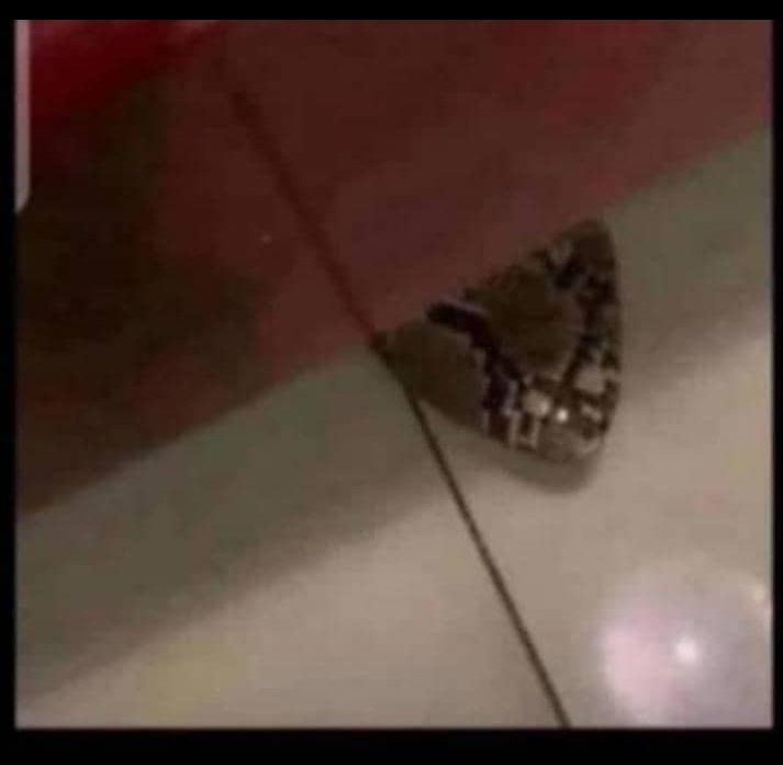 Abeg make una dey mindful of watin una dey wear come church 😔 na small thing remain make I shout snake