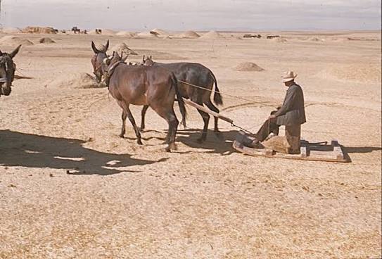 PEDRO CASTAÑO GARCÍA tweet media