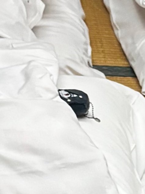 ノキサキ (@44472mpwpw) on Twitter photo 