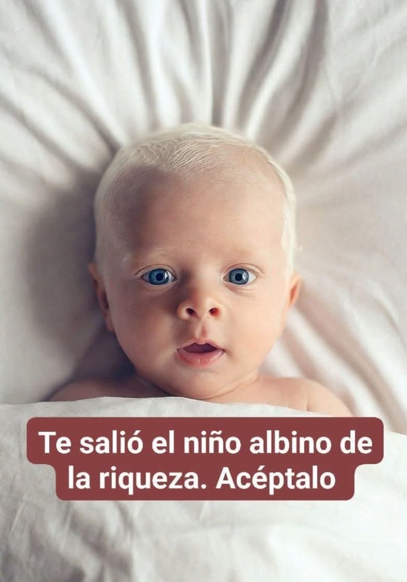 SolidKroket (@solidkroket) on Twitter photo 