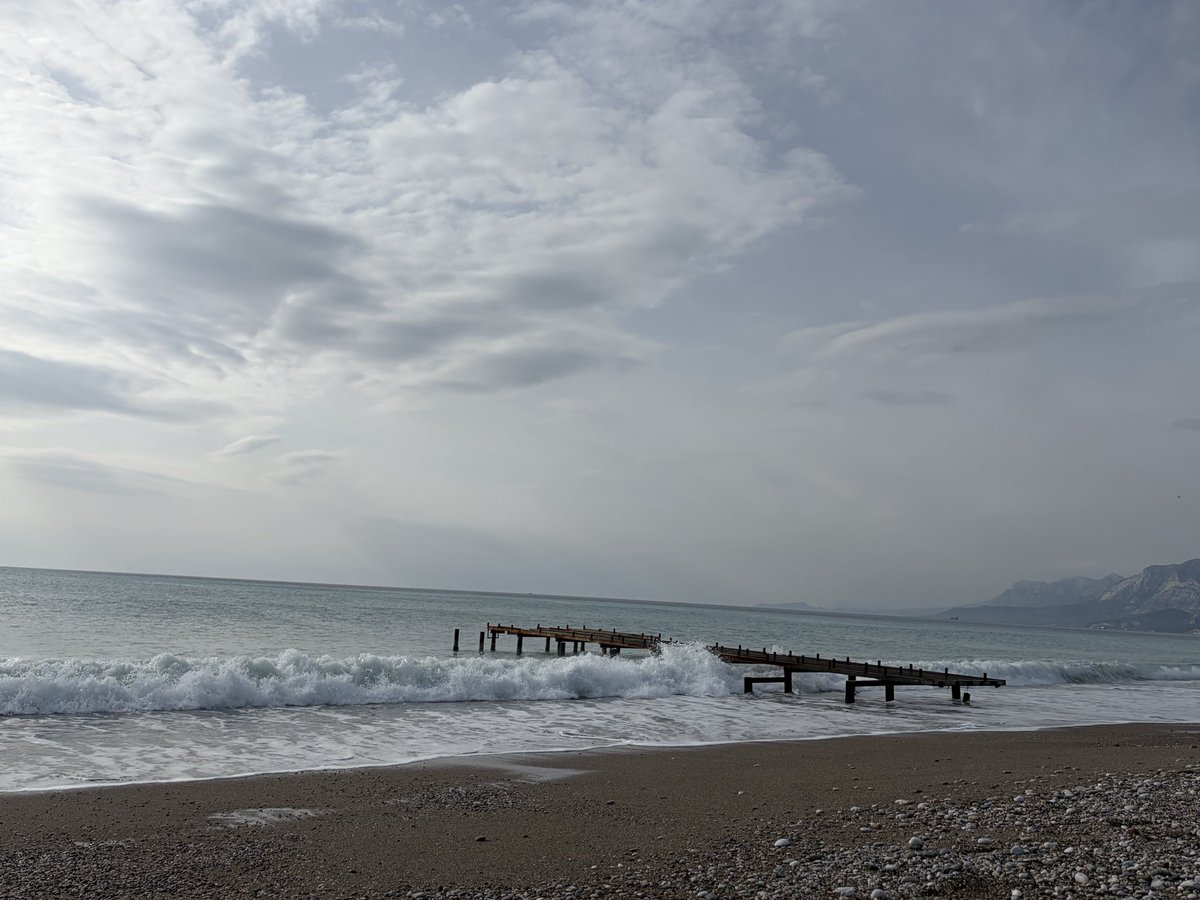 antik acılar çarşısı tweet media