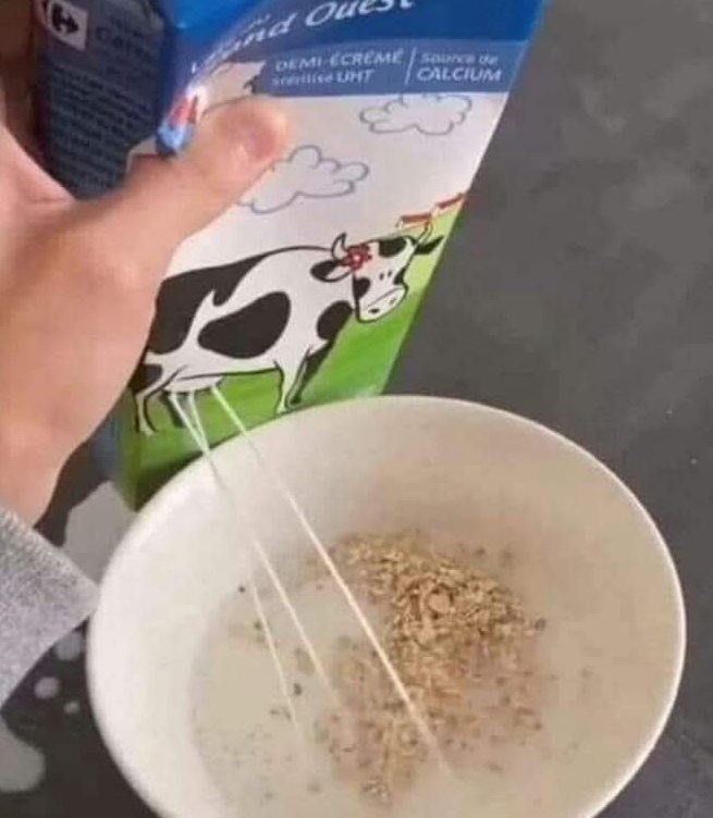 Daniel Checa tweet media