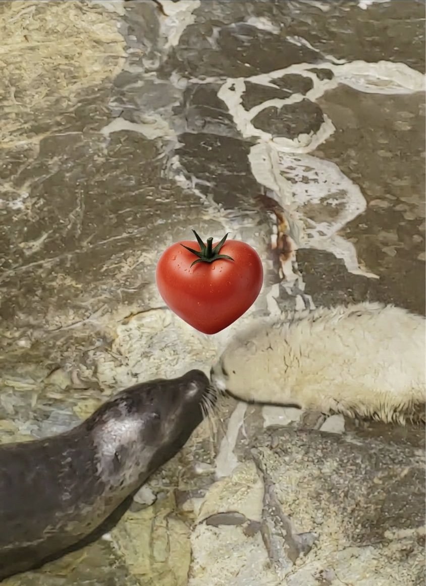 BobbyCooks tweet media