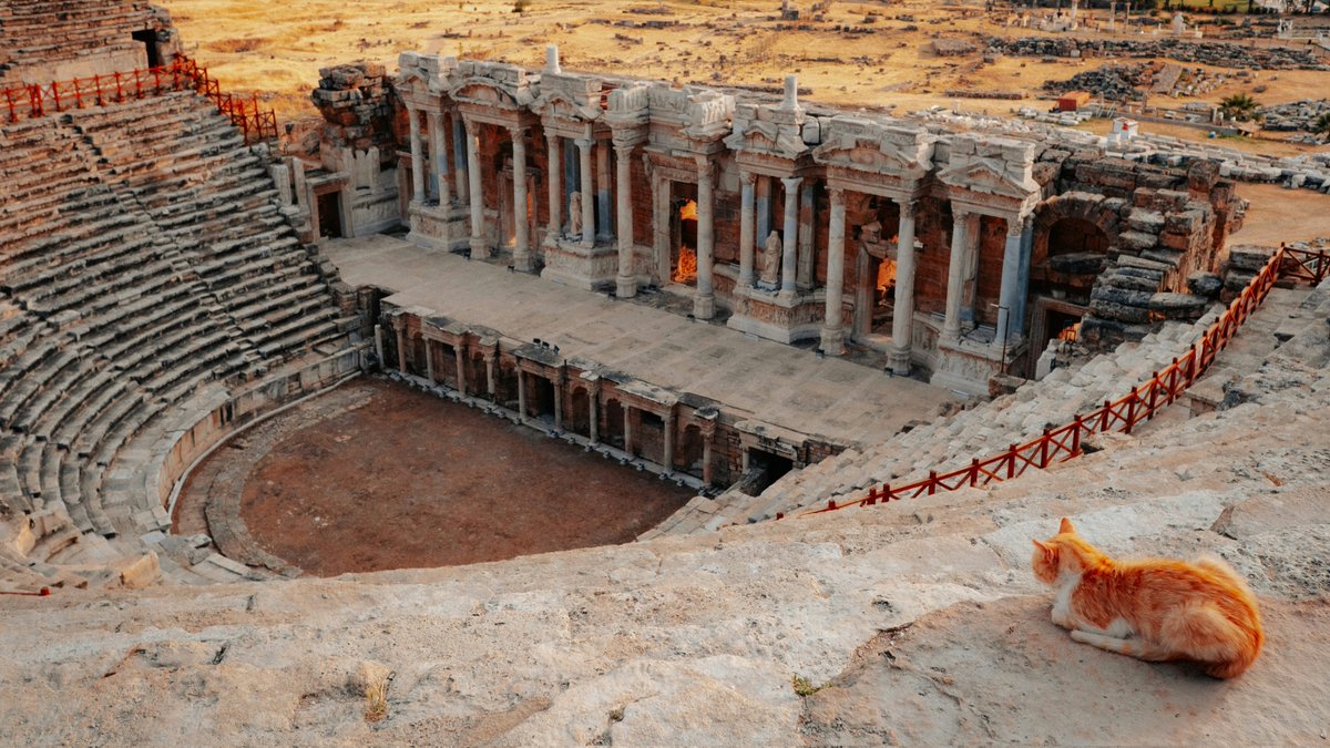 📷P206
📍Denizli, Türkiye

Hierapolis and its most loyal visitor😊
#Türkiye #Travel #Earth
