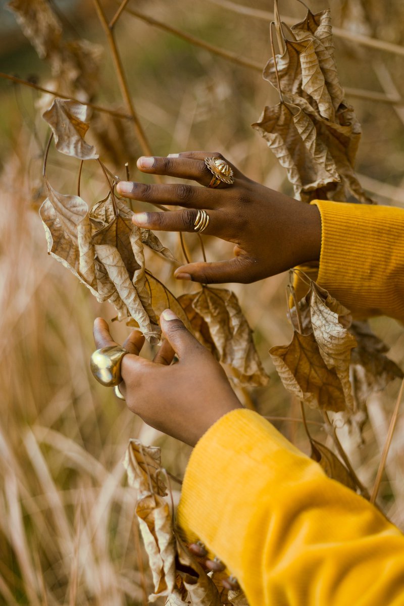 Adéfémi Adédoyin tweet media
