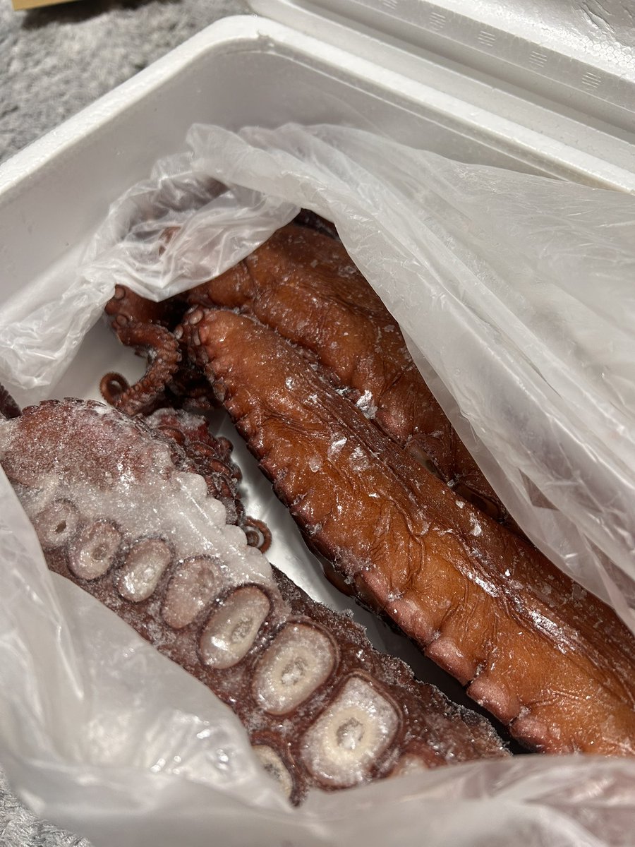 七つの天狗-天乃 tweet media