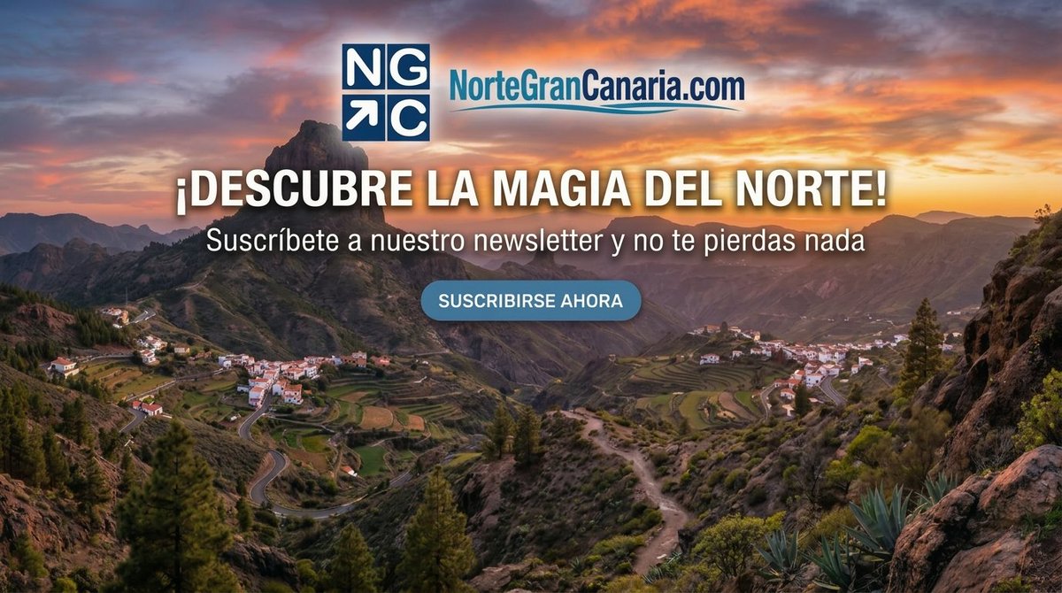 NorteGranCanaria.com tweet media