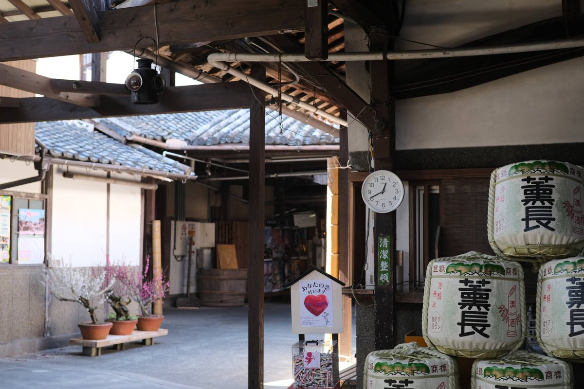 ピクチャーシェル tweet media