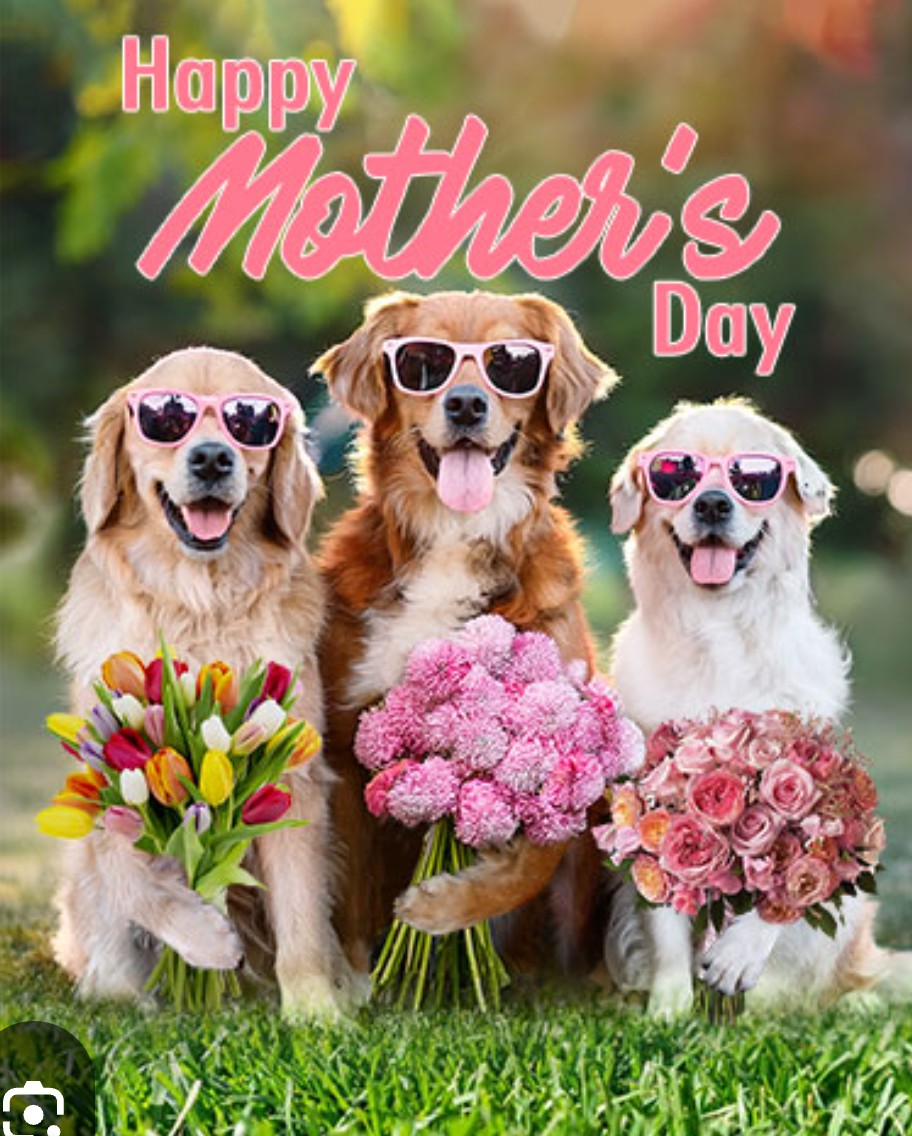 Dr Pam Spurr Psychologist & Artist 🟢⚪🟣 tweet media