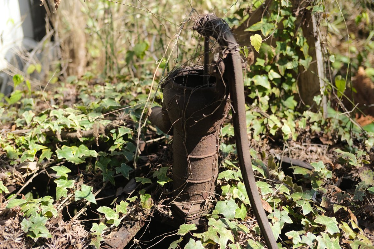 ピクチャーシェル tweet media