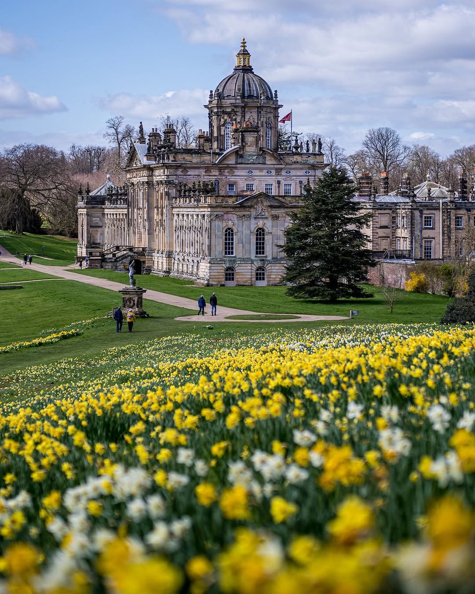 North Yorkshire tweet media