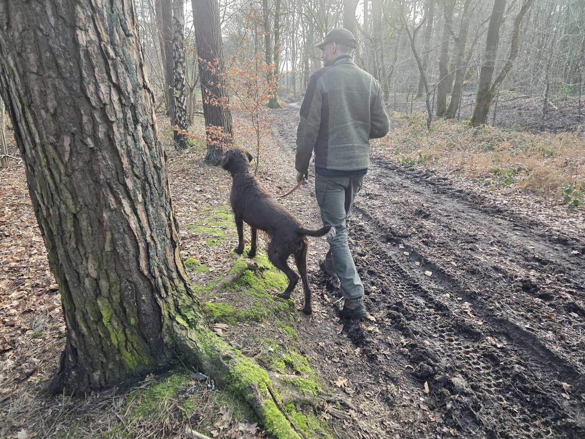 Kim Jong Bumm tweet media