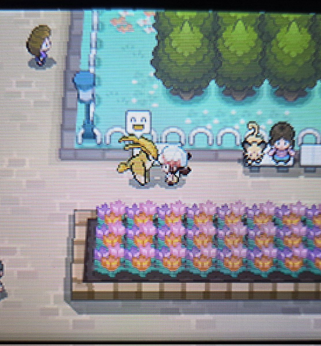 mar🌙🍉 tweet media