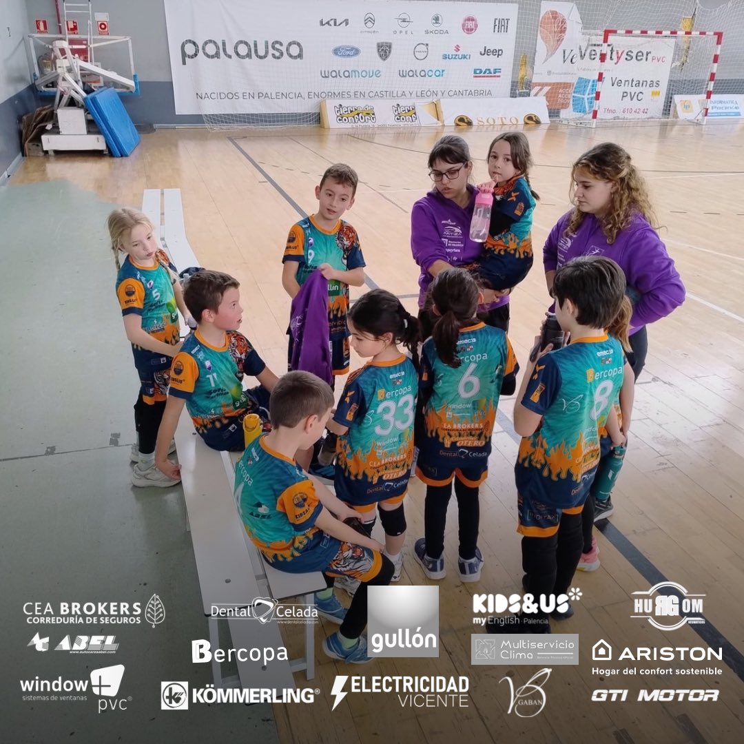 CD Balopal Balonmano Palencia tweet media