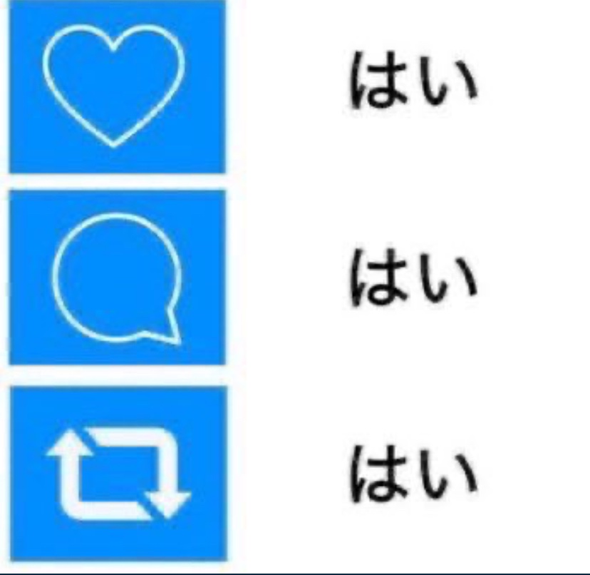 Ledera/レデラ tweet media