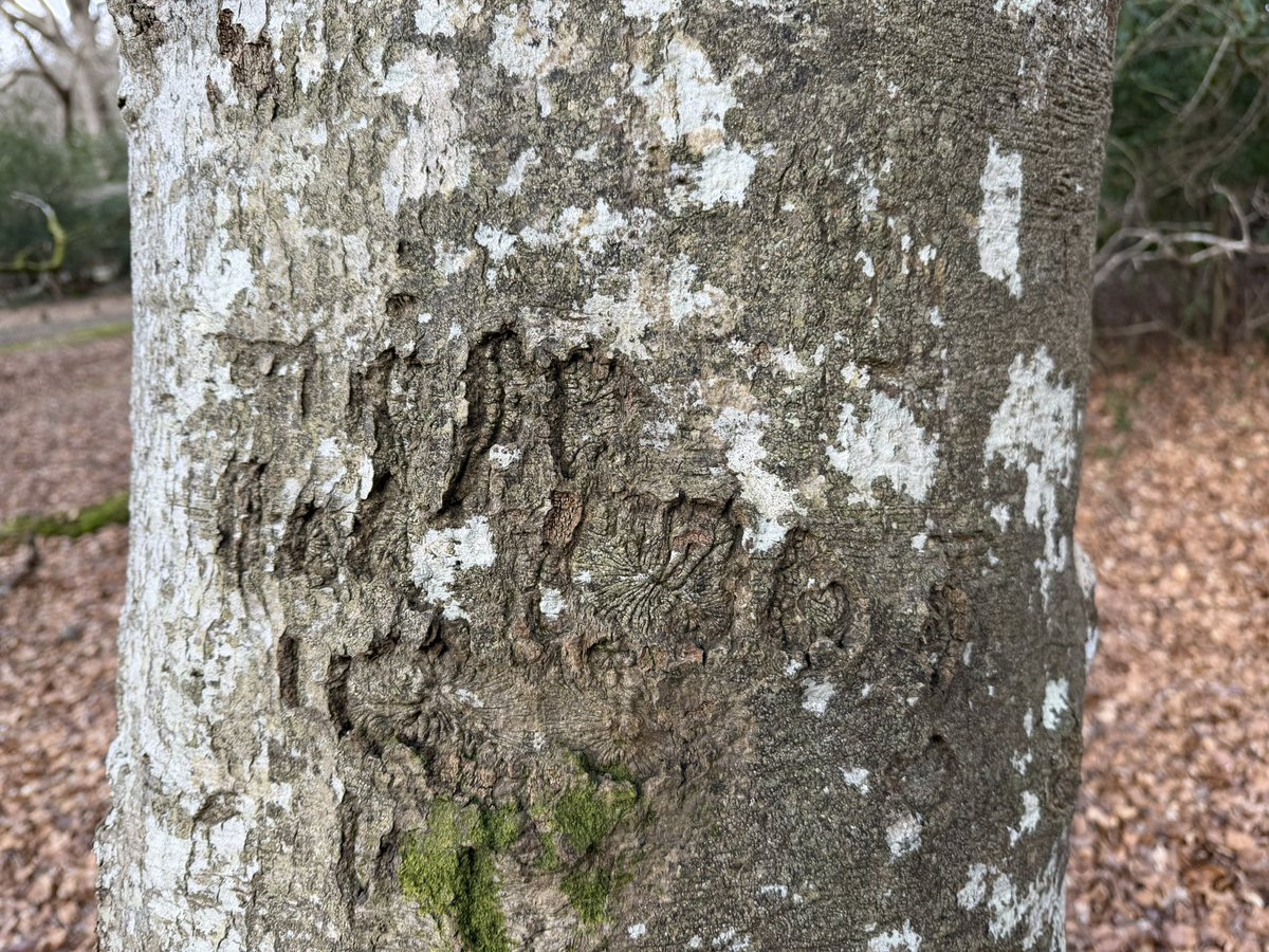 Alastair Hilton tweet media