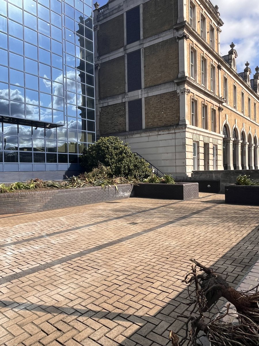 Jamie 🤘🏼 tweet media