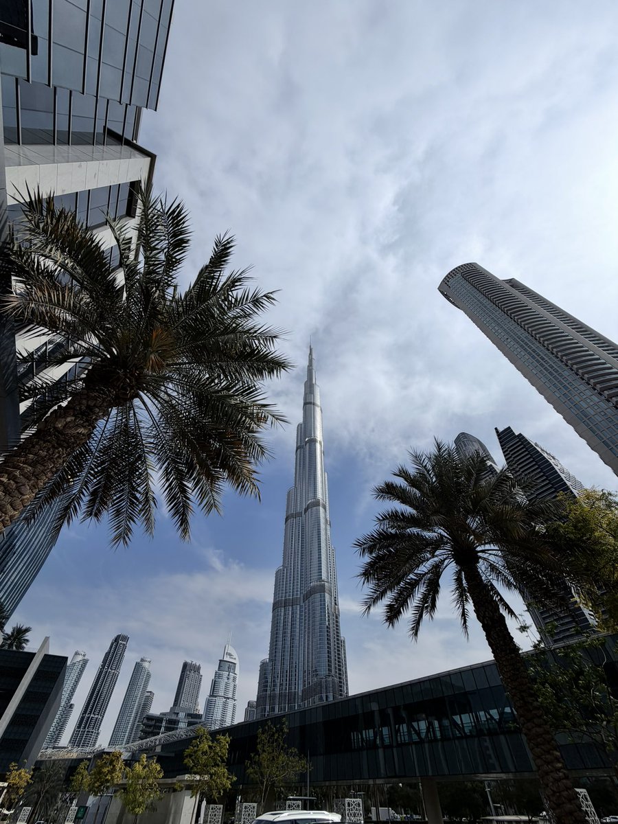 Nomadz 🧳 tweet media