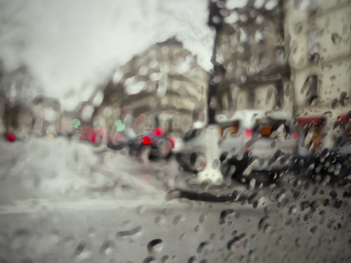 candy1962 tweet media