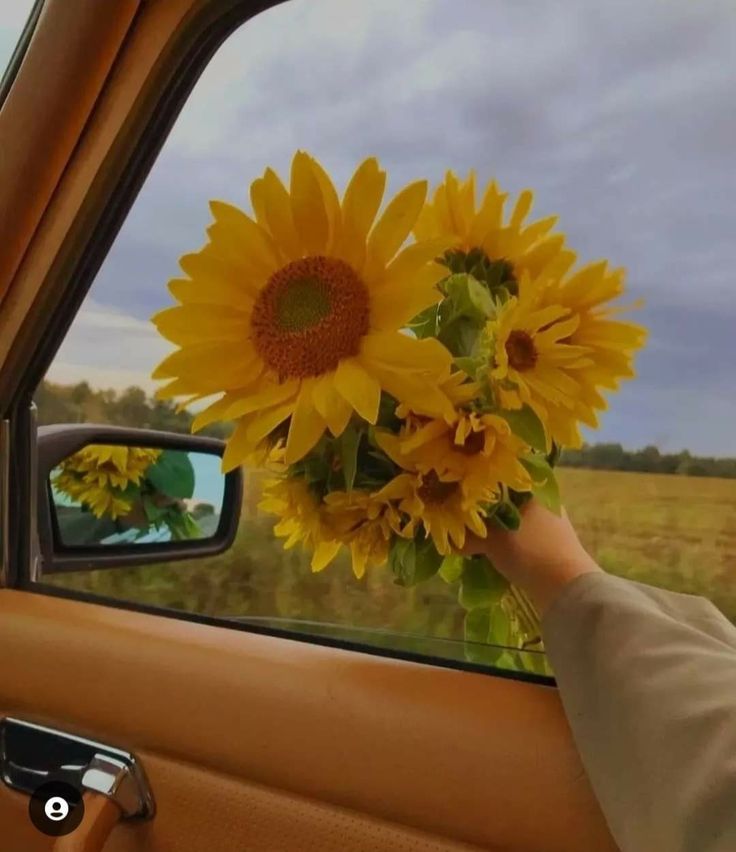 𝐋𝐚𝐮𝐫𝐚ᶜʳᶠ  tweet media