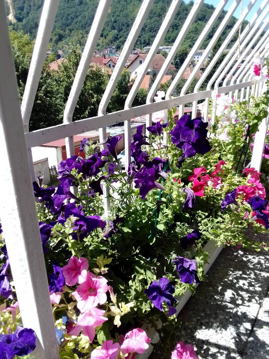 MAMA! Hvala ti što si moj oslonac i najbolji prijatelj. Sretan rođendan najdražoj mami! Neka ti ovaj dan bude ispunjen smijehom i ljubavi koliko je i tvoje srce veliko. Nerko 🙂 Slavim majčinu ljubav sa Fikretom Sekom Hadžimešić u gradu Goražde.