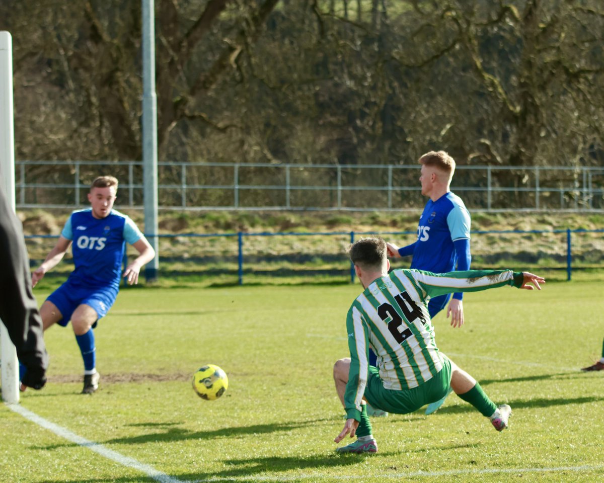 daniellaingphotography tweet media